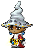 Damrir